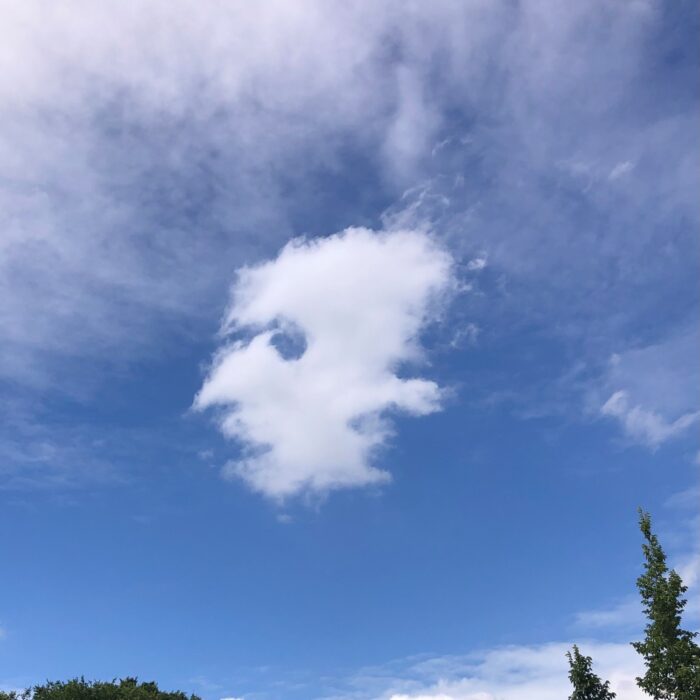 Cloud-a-Day image for Monday 20th July 2026