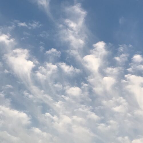 Altocumulus with virga over Denmark.