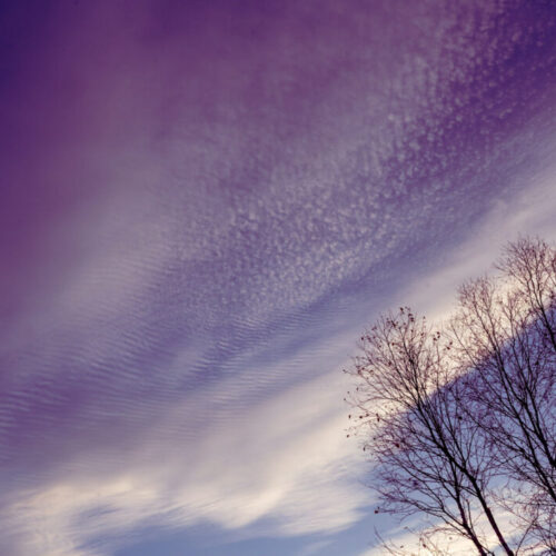 Cirrocumulus floccus undulatus during sunset over Vermontville, Adirondacks, New York, US
