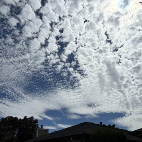 An expansive display of altocumulus over Santa Rosa, California, US