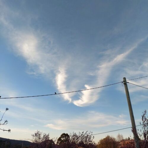 Within these cirrus clouds, Fran sees an angry orangutan in the sky over Cooma, New South Wales, Australia