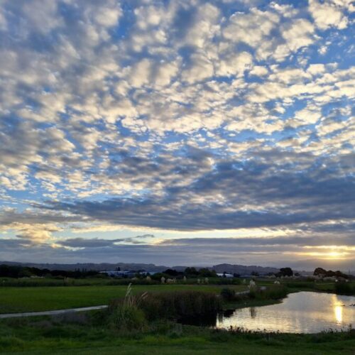 Sunrise over San Leandro, California, US