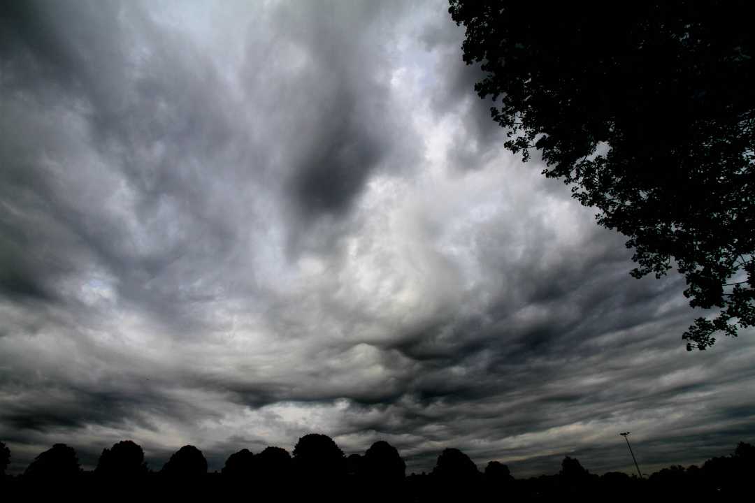 2015-05-12 Asperatus_0022 ns klein