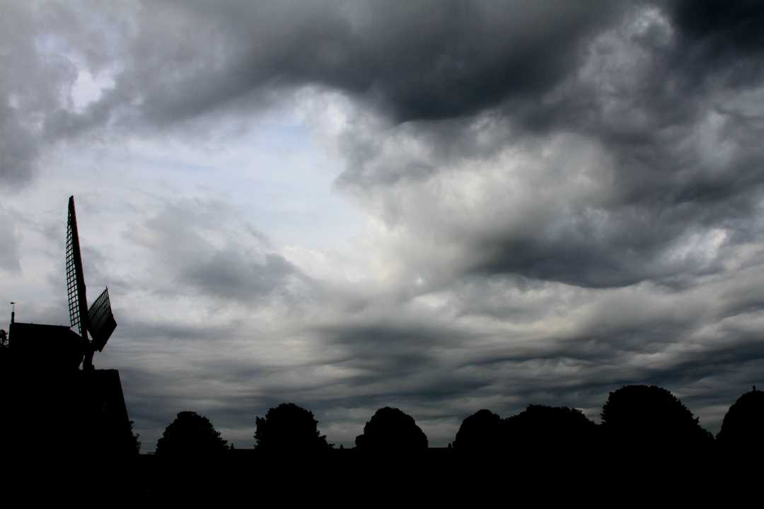 2015-05-12 Asperatus_0023 ns klein