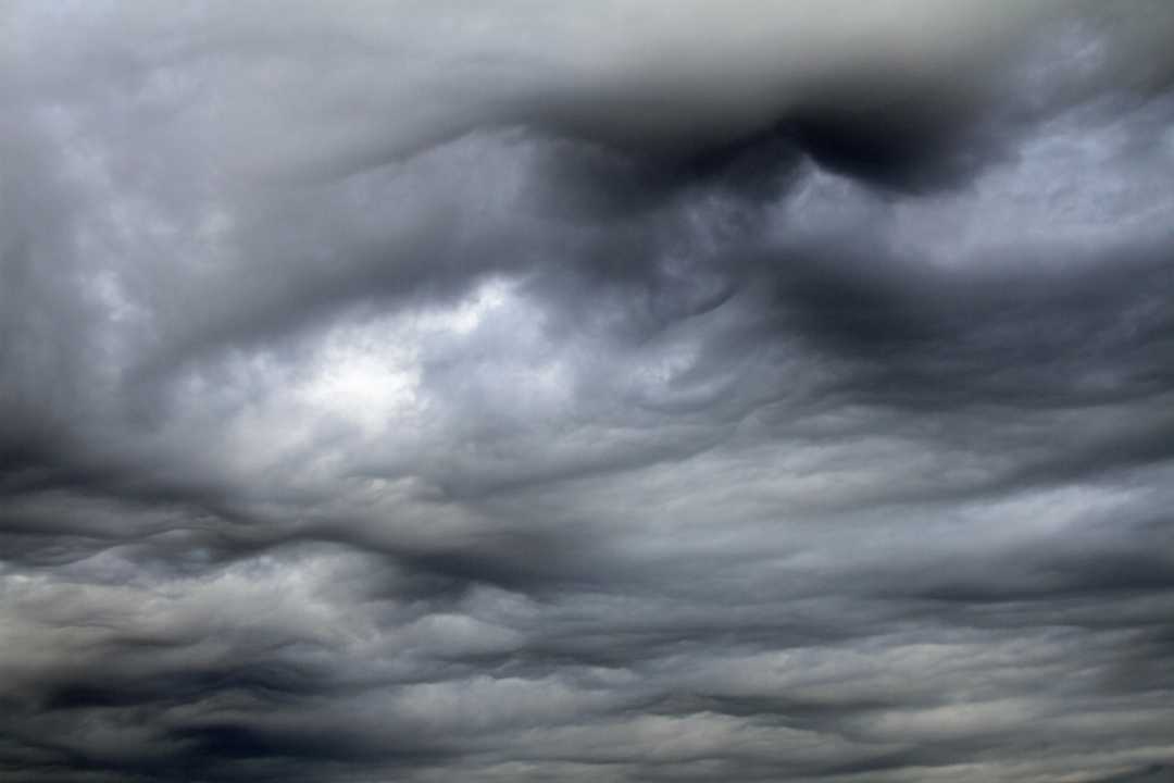 2015-05-12 Asperatus_0006 asr klein