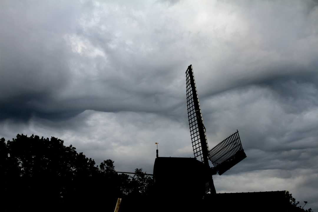 2015-05-12 Asperatus_0033 ns klein