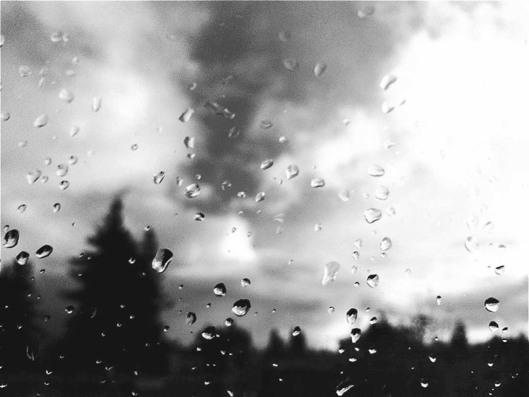 Rain on Window_BW