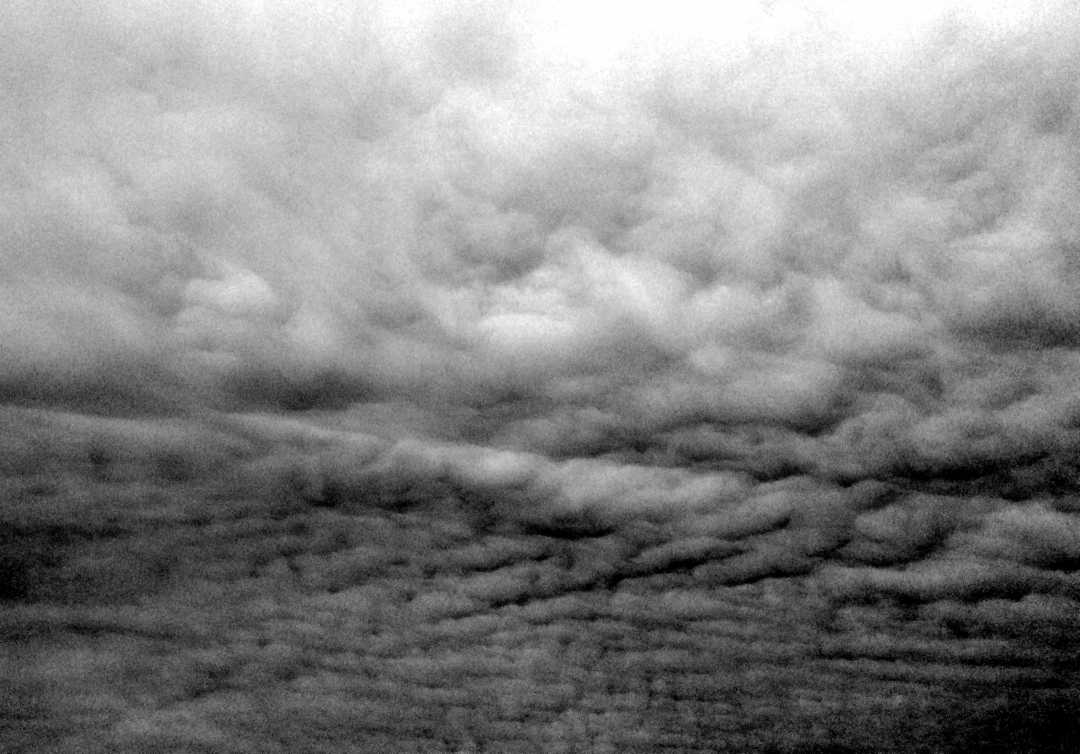 IMG_6365_BW_Basket of Wool