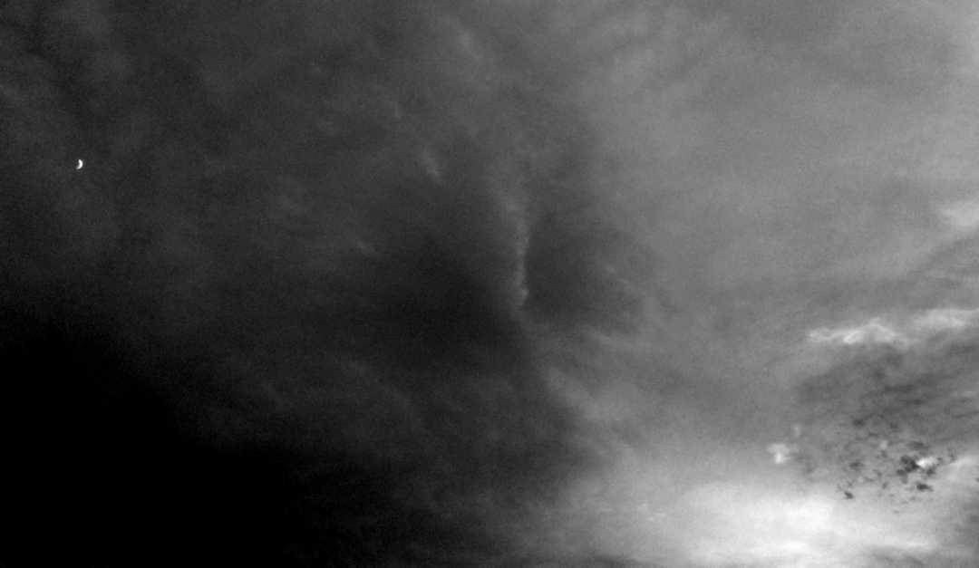 IMG_6484_BW_Little Moon Steals The Show