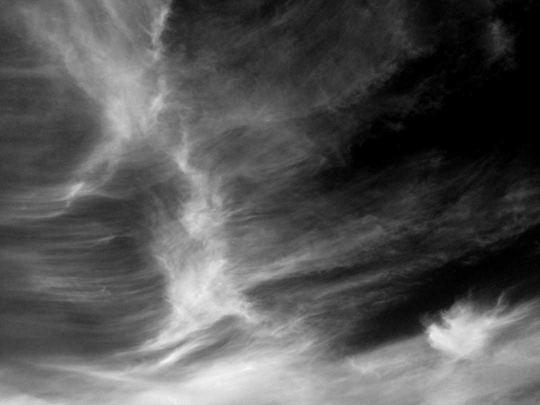 IMG_7125_BW_Wind In The Wings