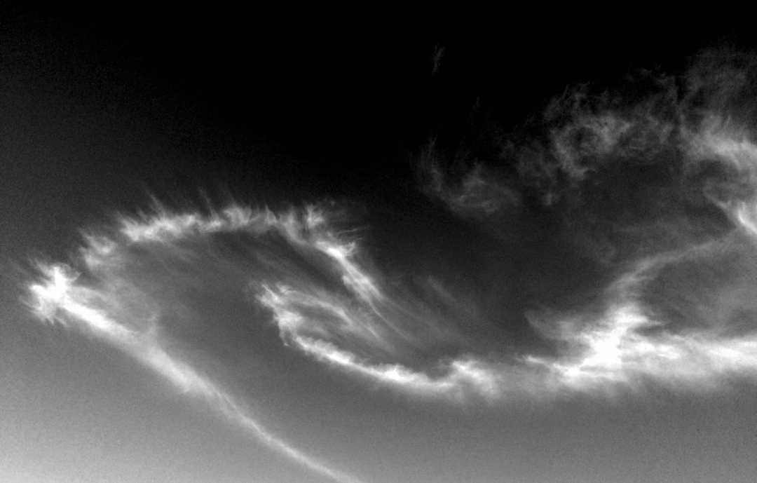 IMG_0268_BW_Wizard's Wand