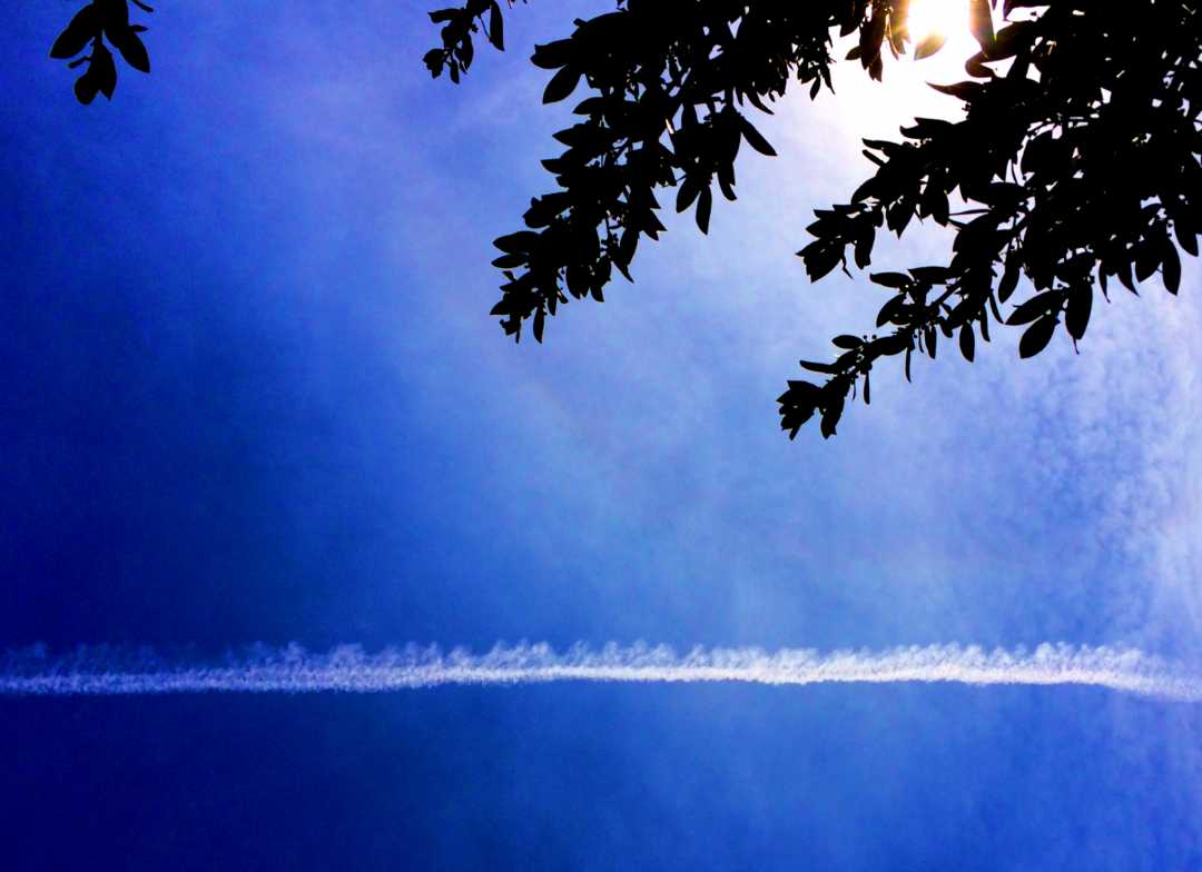 IMG_1379_Contrail & Halo