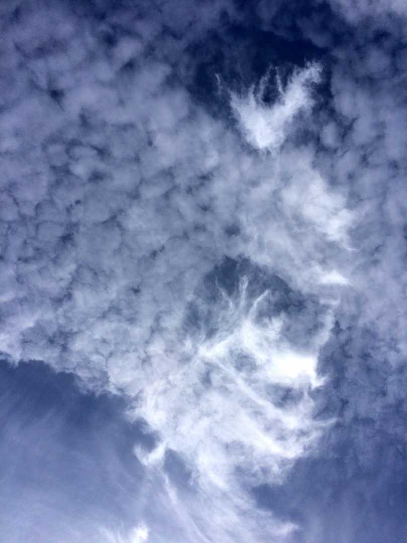 IMG_5439_The Cloud Muncher