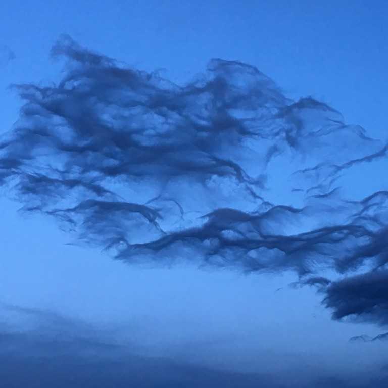 2019-02-13 Eyebrow asperitas