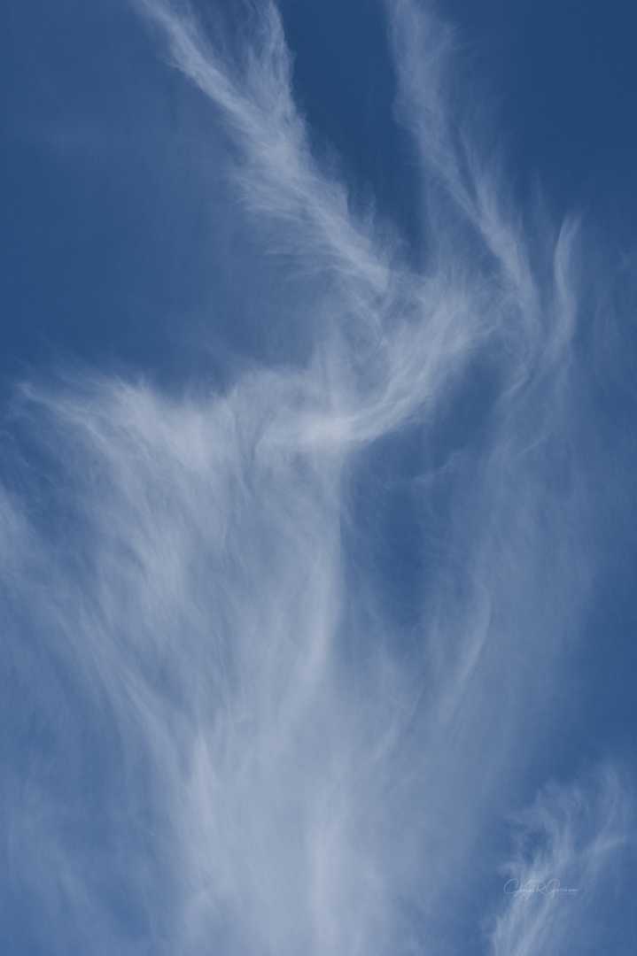 Cirrus (2)