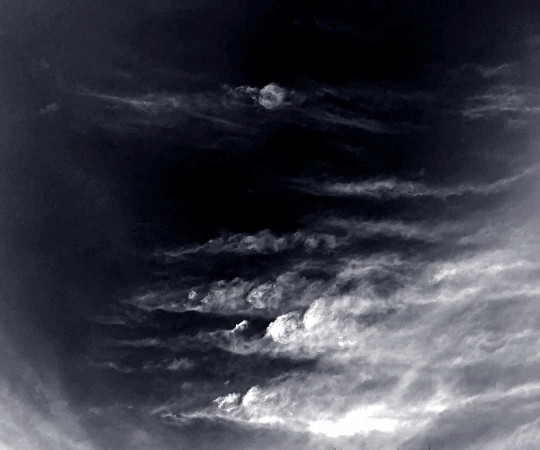 IMG_1670_BW_The Painterly Moon
