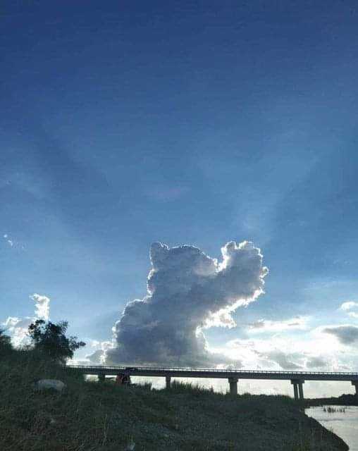 cat cloud (1)