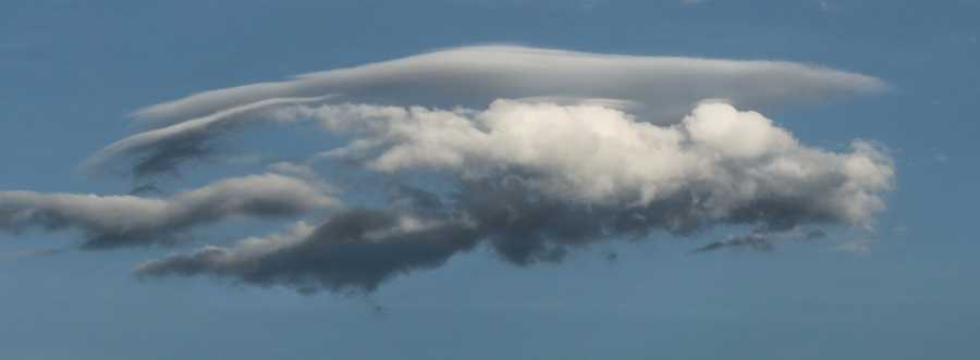 july3022b7856Pileus