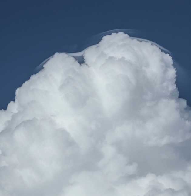 aug2122b8308Pileus