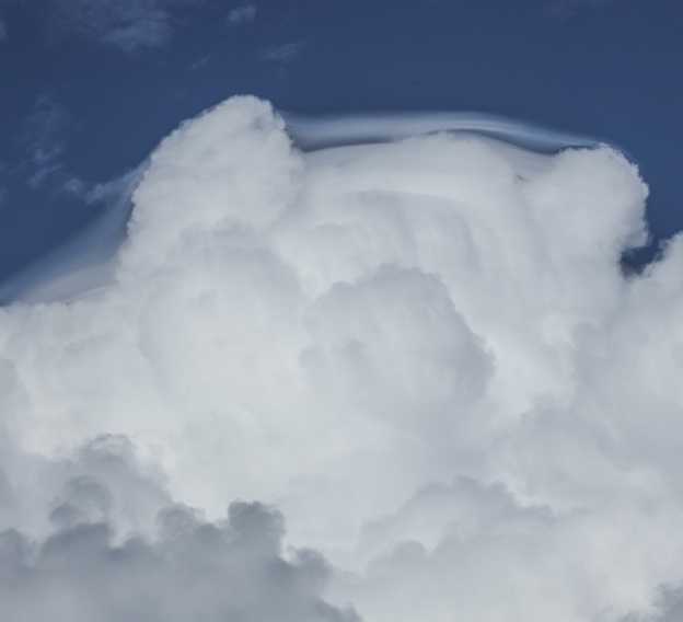 aug2122b8317pileus