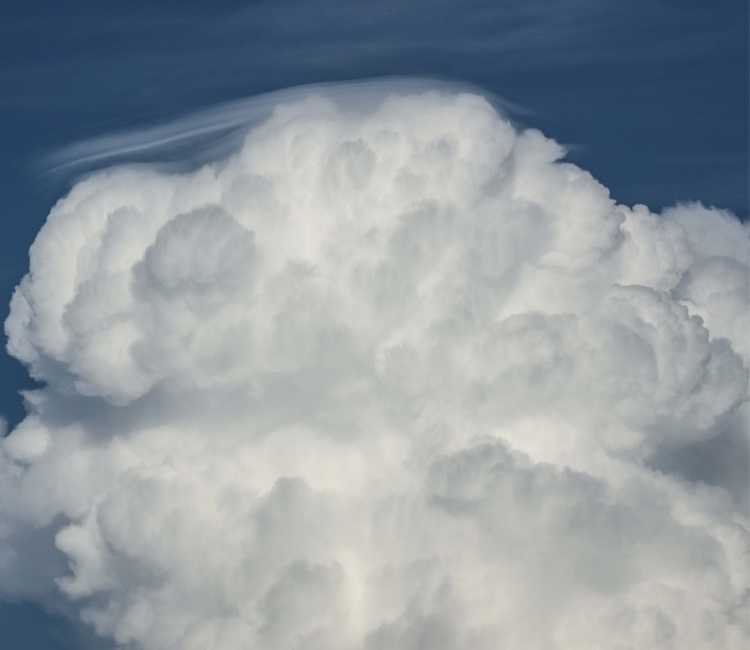 aug2122b8277Pileus