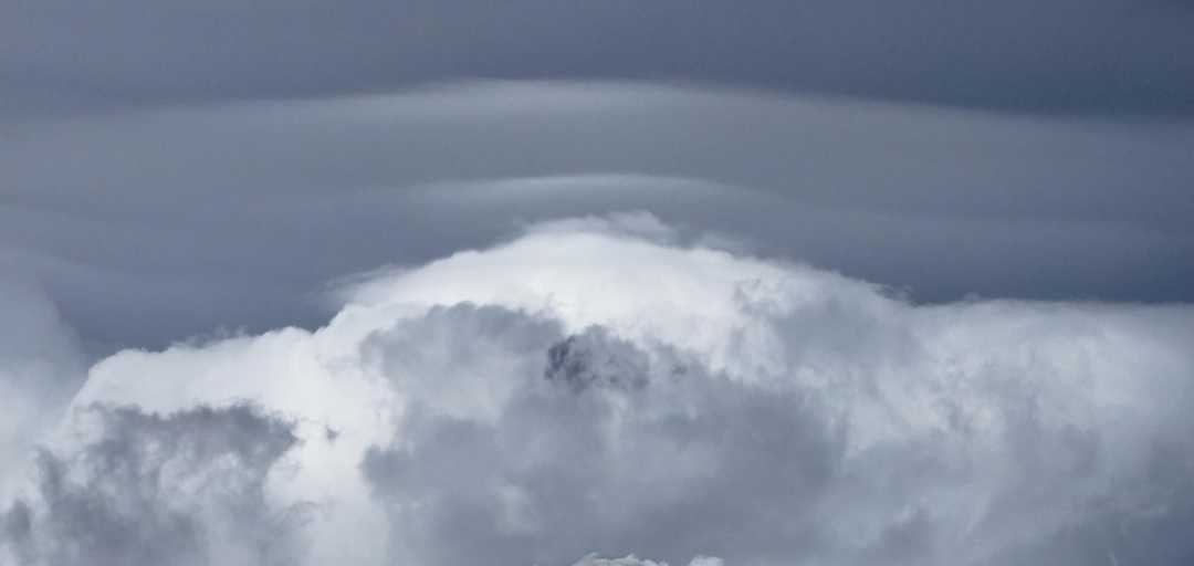 mar3023b0105Pileus