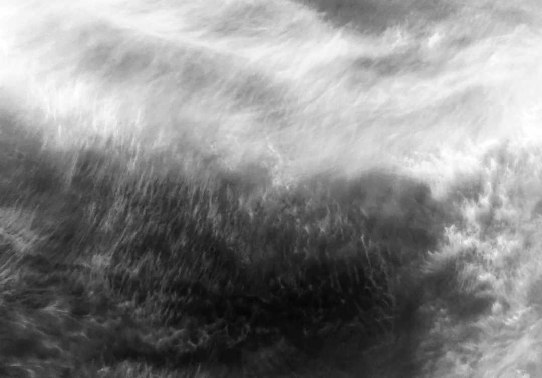 IMG_7404_A Splash Of Intortus_BW