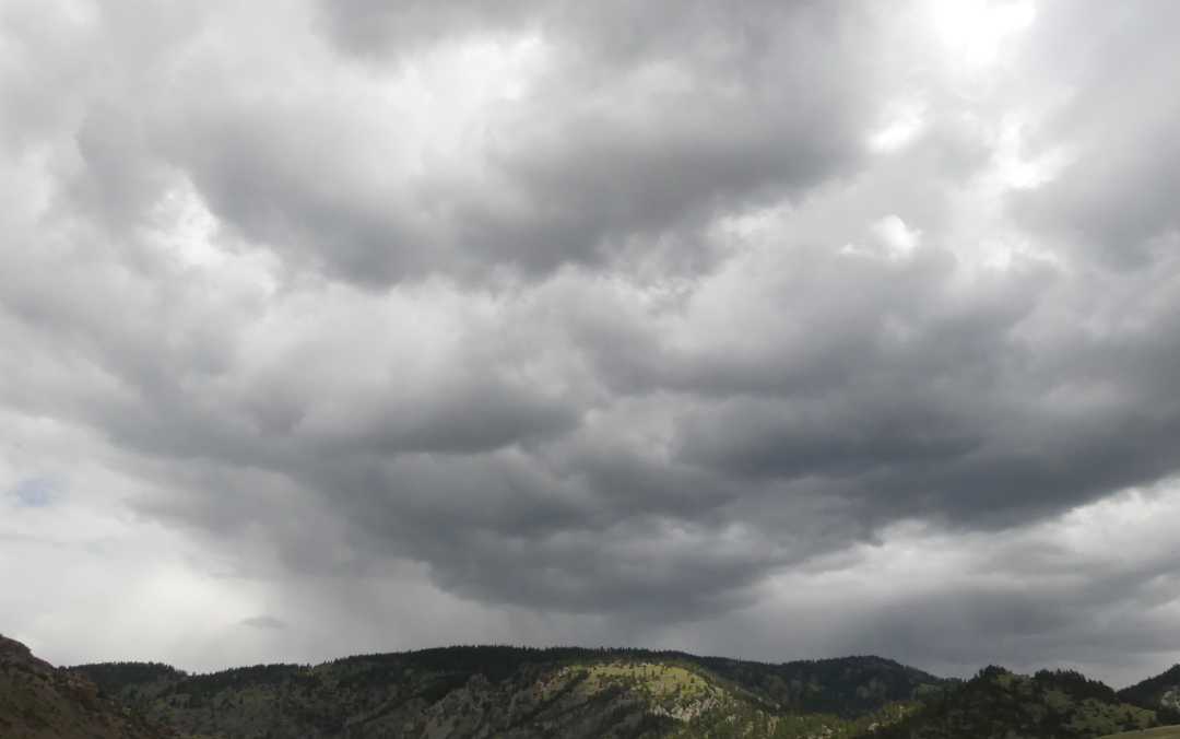 P1060209 (2)