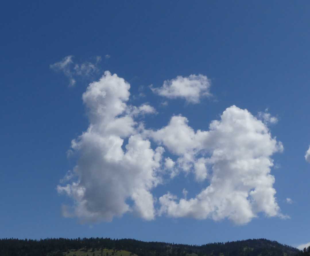 P1060302 (2)