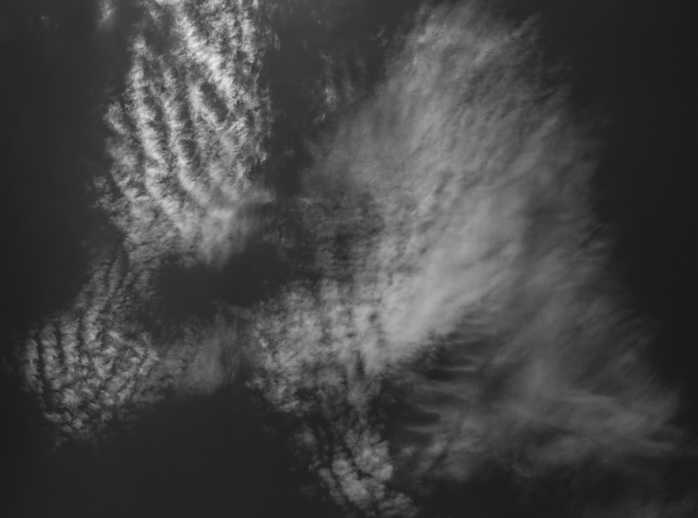 july2217a4784