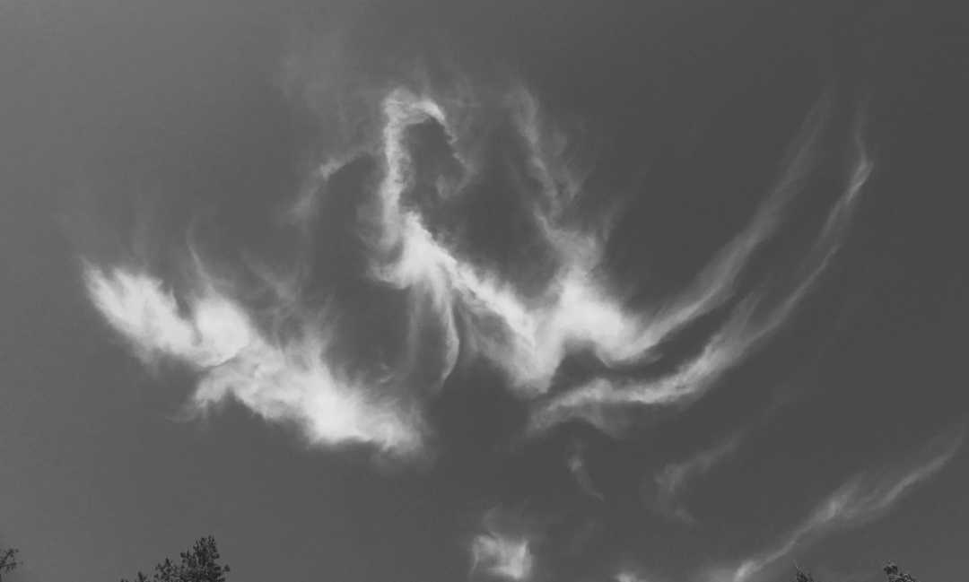P1060388 (2)