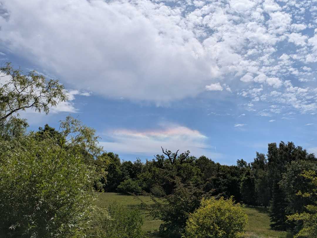 PXL_20250701_114034526
