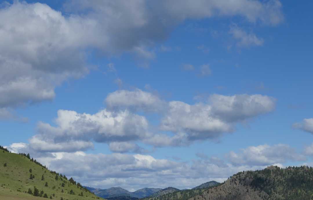 P1140674 (2)