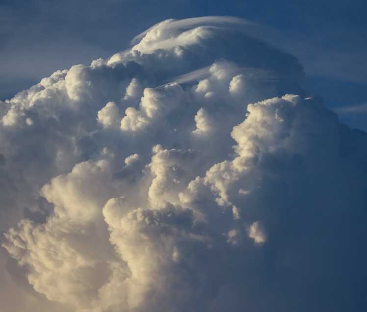 Mar-Nov24E4034Pileus2