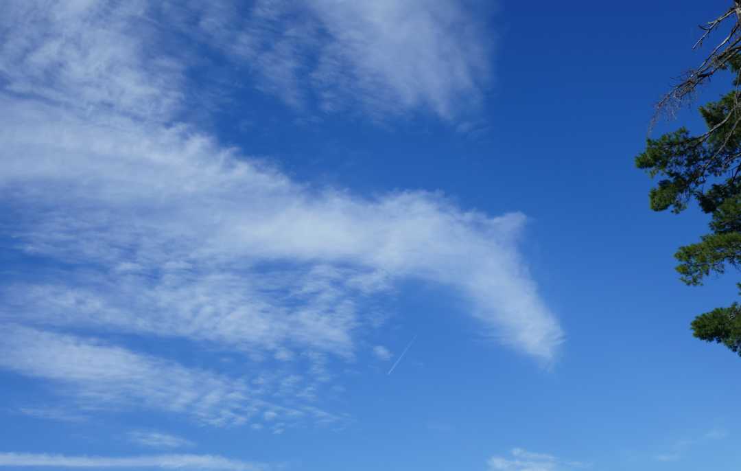 P1150444 (2)