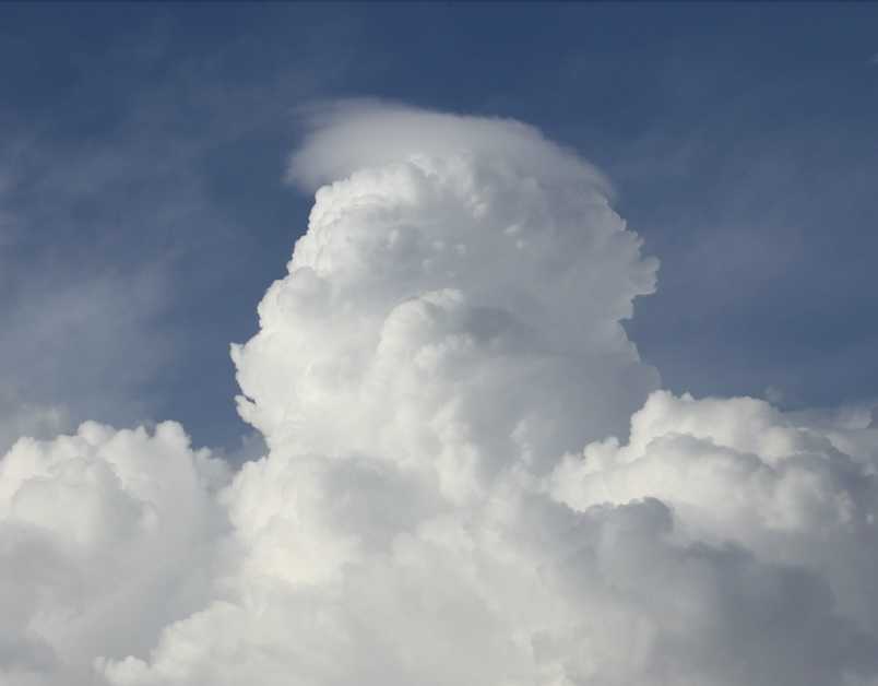 aug3023b1186pileus2