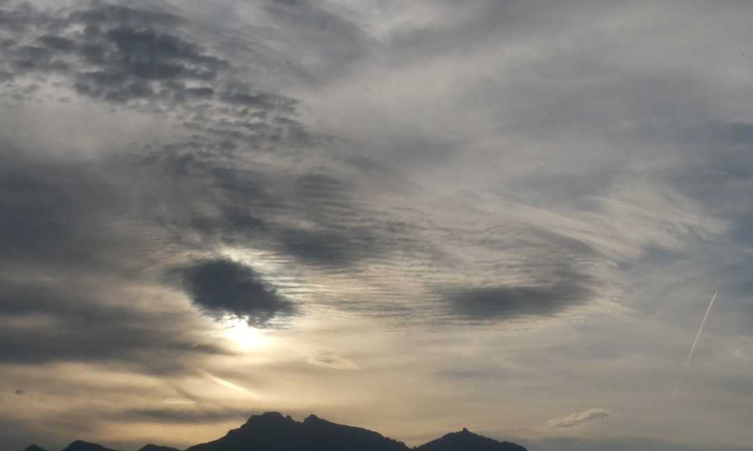 P1070540 (2)