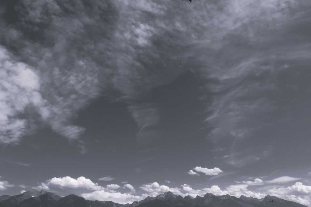 P1070229 (2)