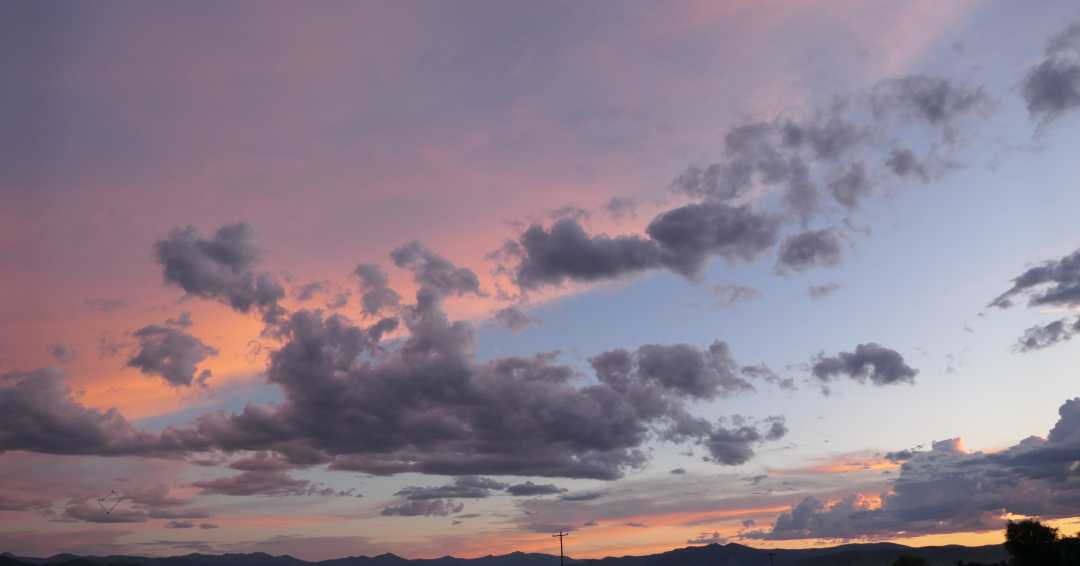 P1080236 (2)