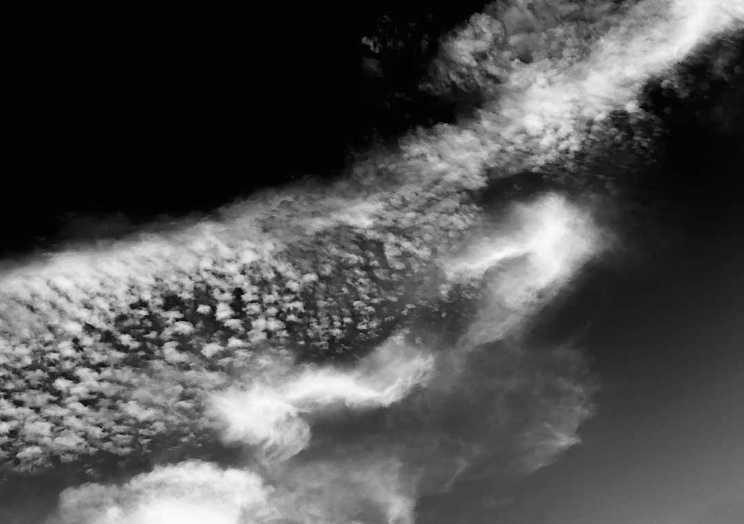 IMG_8599_BW