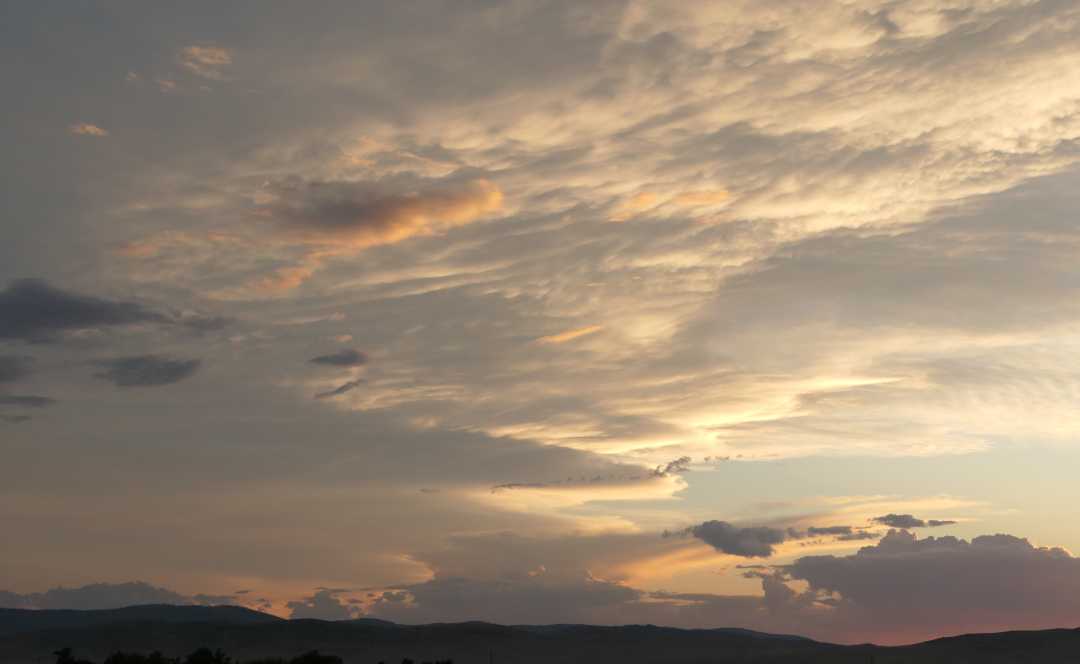 P1080269 (2)