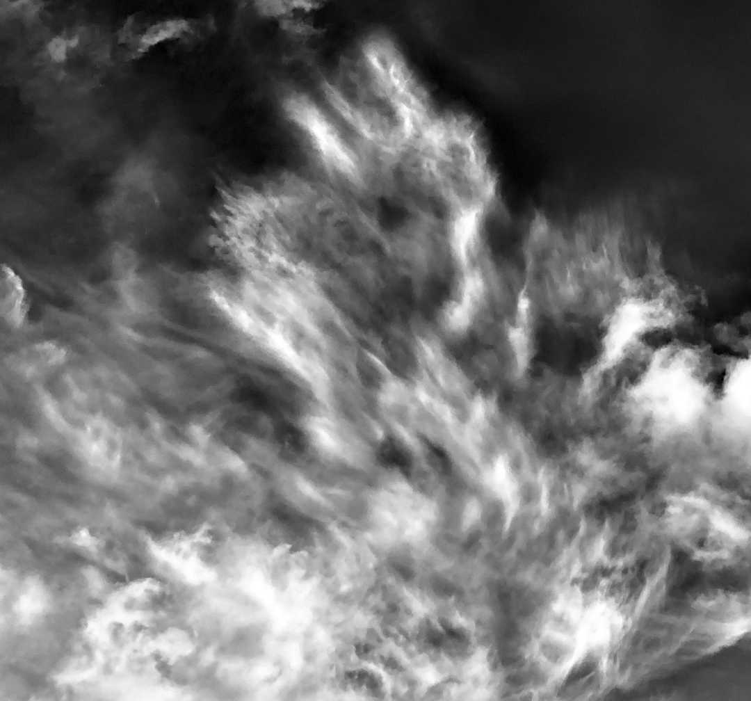 IMG_6338_BW_Singing Into The Wind