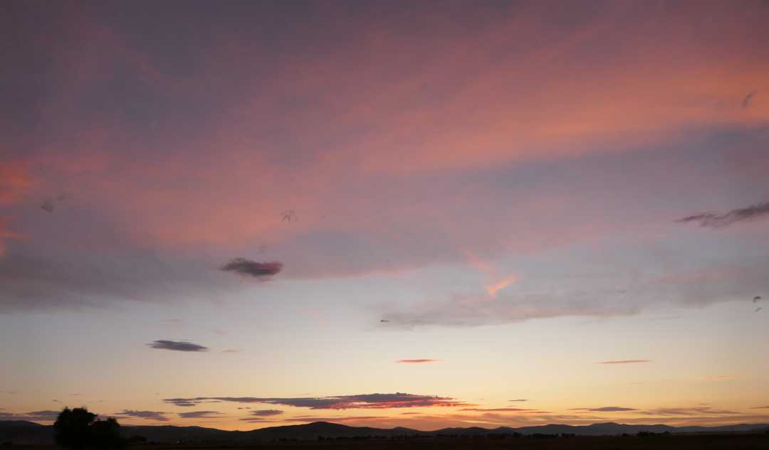 P1080164 (2)