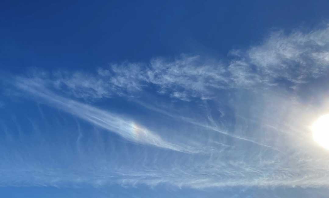 IMG_9426_Sundog Sandwich