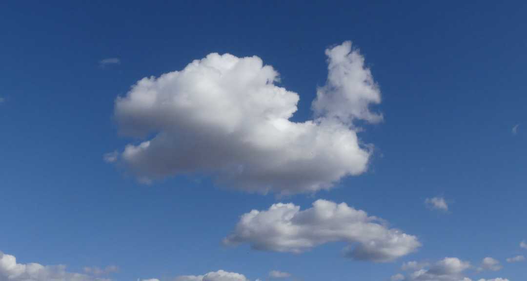 P1080127 (2)