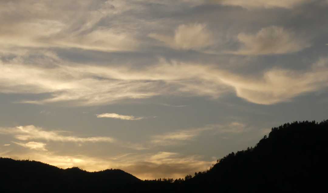 P1080017 (2)