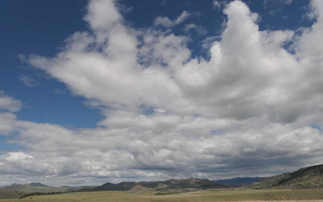 P1079886 (2)