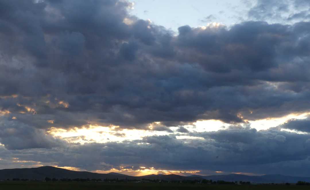 P1040365 (2)