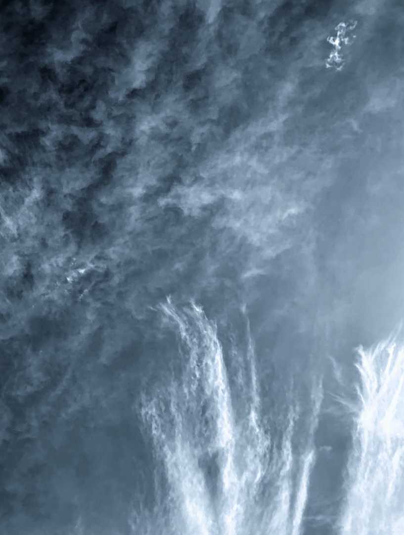 IMG_8321_Jonah & The Whale