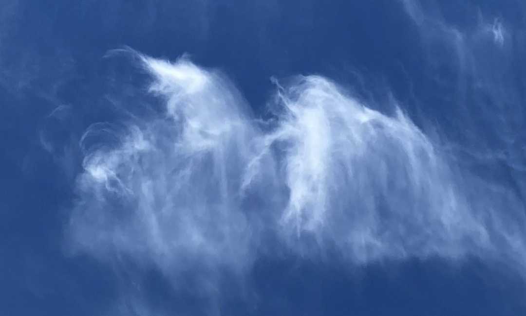 IMG_9505_Trick-or-Treaters